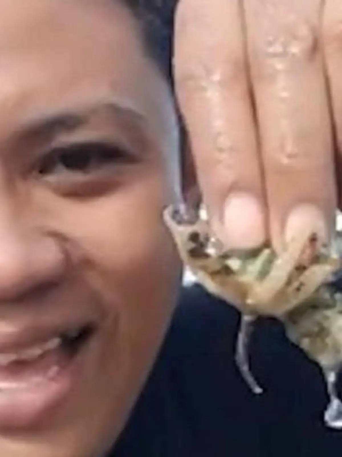 Bild zu: "Er spielt mit dem Tod! Mann ärgert Oktopus – sein Biss ist hochgiftig"