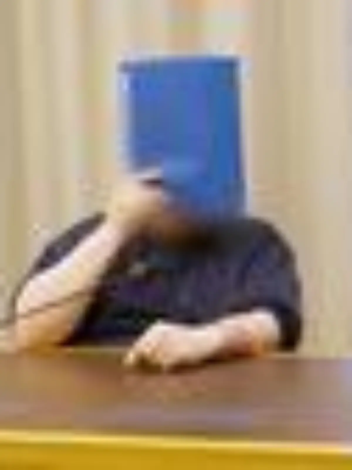 Bild zu: "Sexualstraftäter Mario W. war trotz Fußfessel weiter auf Kinderjagd"