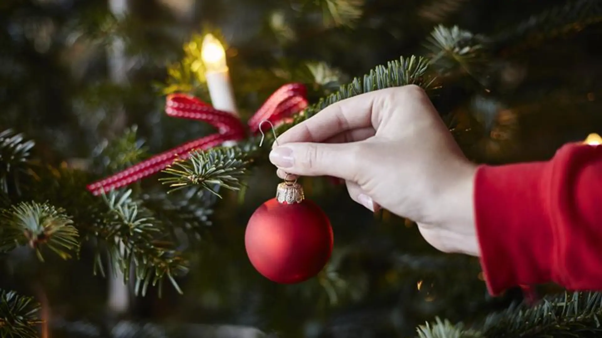 Der Tannenbaum wird mit Weihnachtsbaumkugeln geschmückt.
