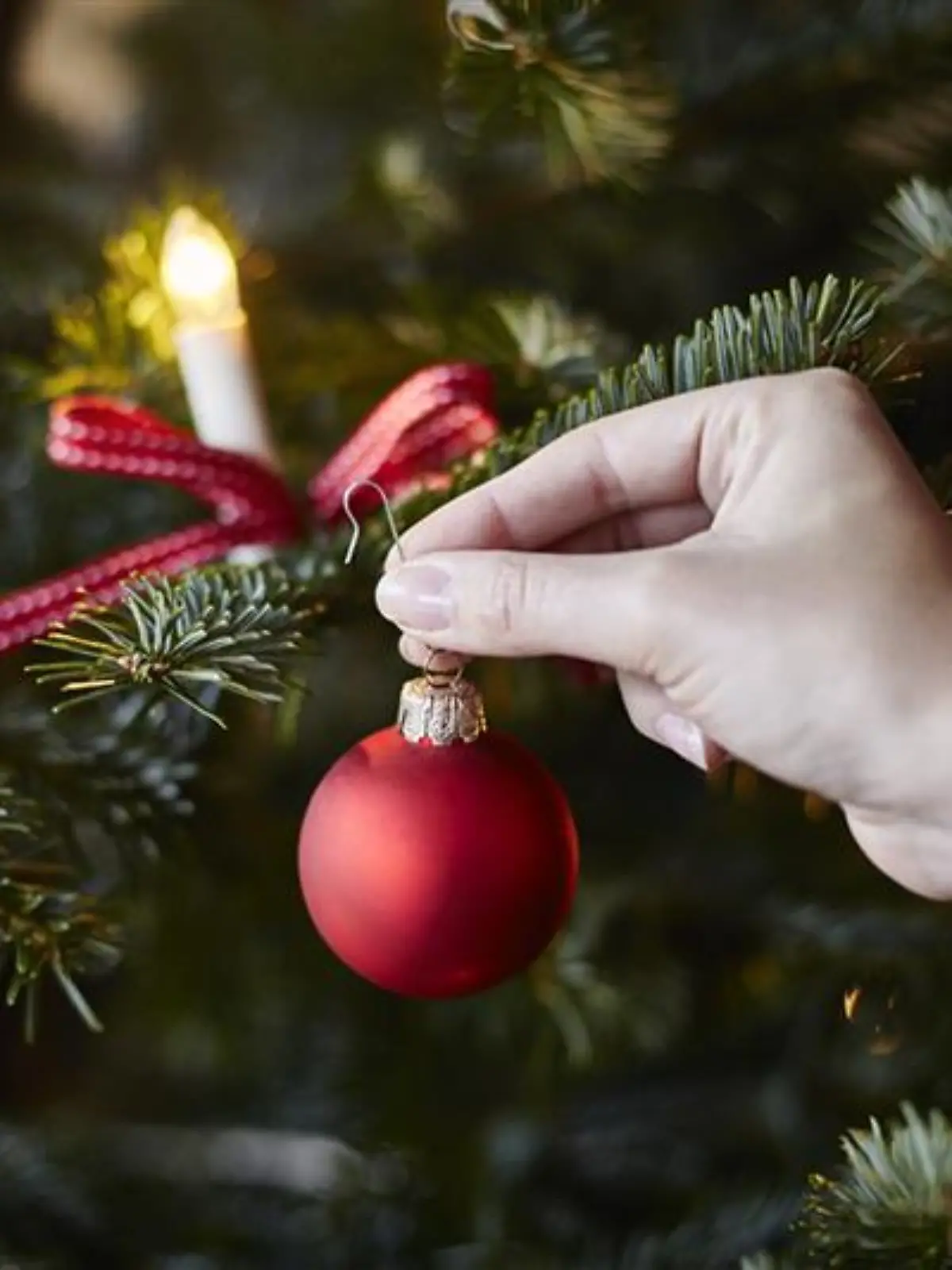Der Tannenbaum wird mit Weihnachtsbaumkugeln geschmückt.