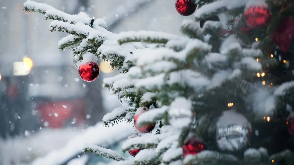 Schneebedeckter Weihnachtsbaum