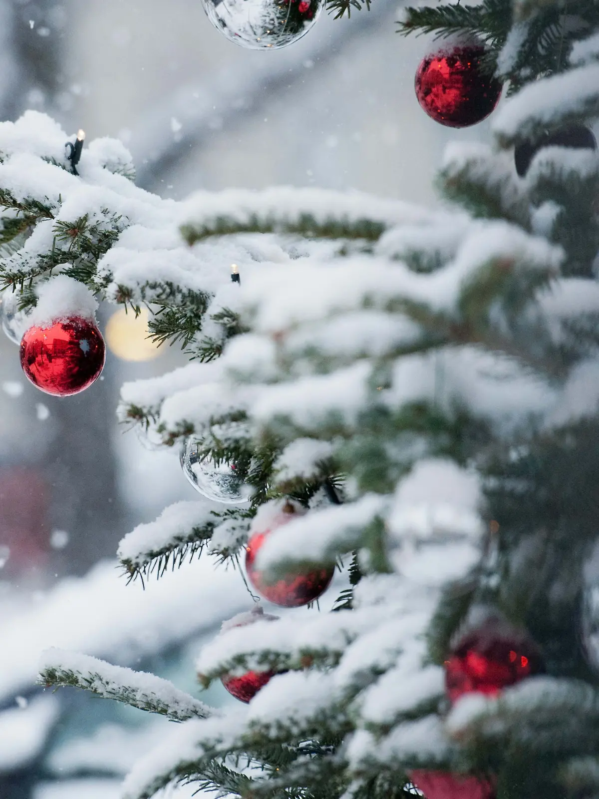 Schneebedeckter Weihnachtsbaum