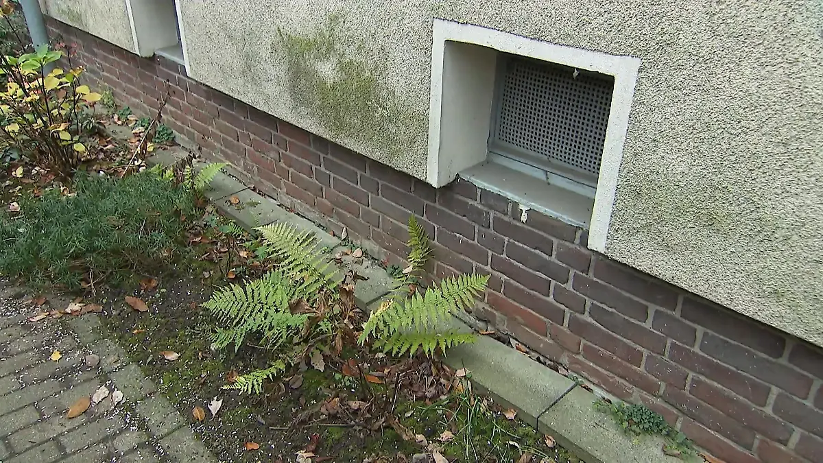 Hilferuf im Beet Nachbar alarmiert Polizei