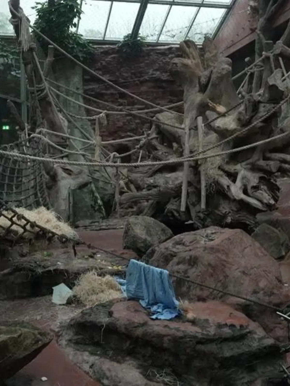 Bild zu: "Weihnachten in der Zoom-Erlebniswelt"