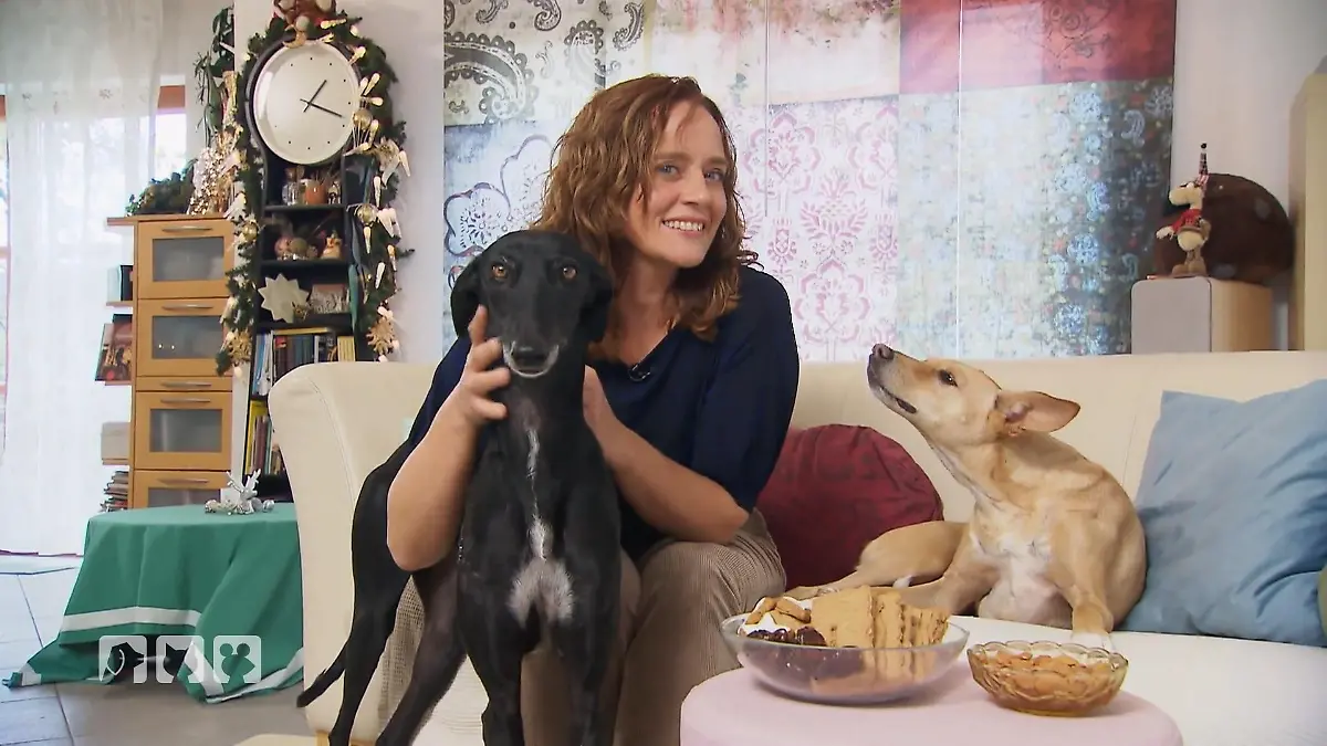 Weihnachtsmenü für unsere Vierbeiner Liebe geht durch den Magen