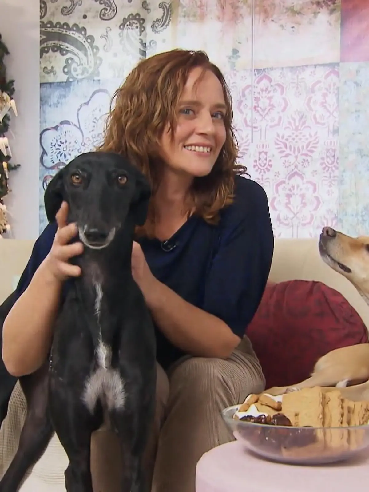 Bild zu: "Weihnachtsmenü für unsere Vierbeiner"