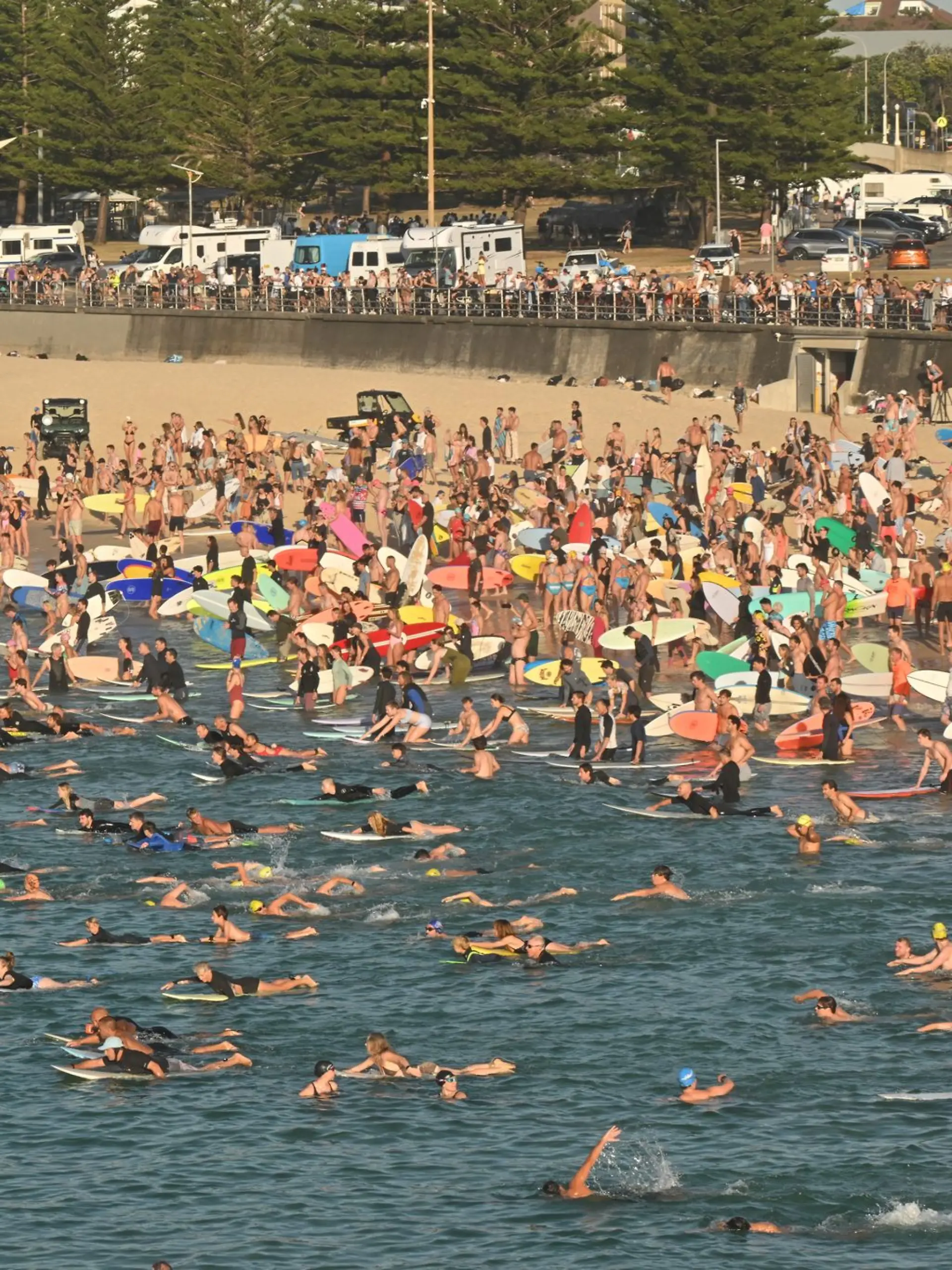 Bild zu: "Hunderte Surfer gedenken am Bondi Beach der Terroropfer"