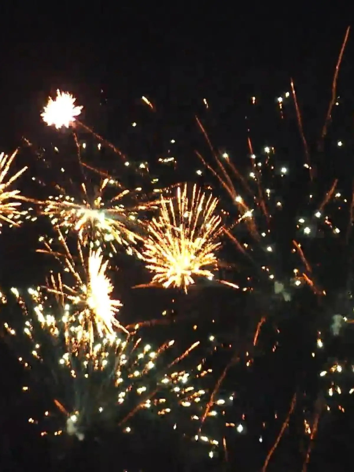 Bild zu: "60 Prozent der Deutschen sind für ein Böllerverbot"