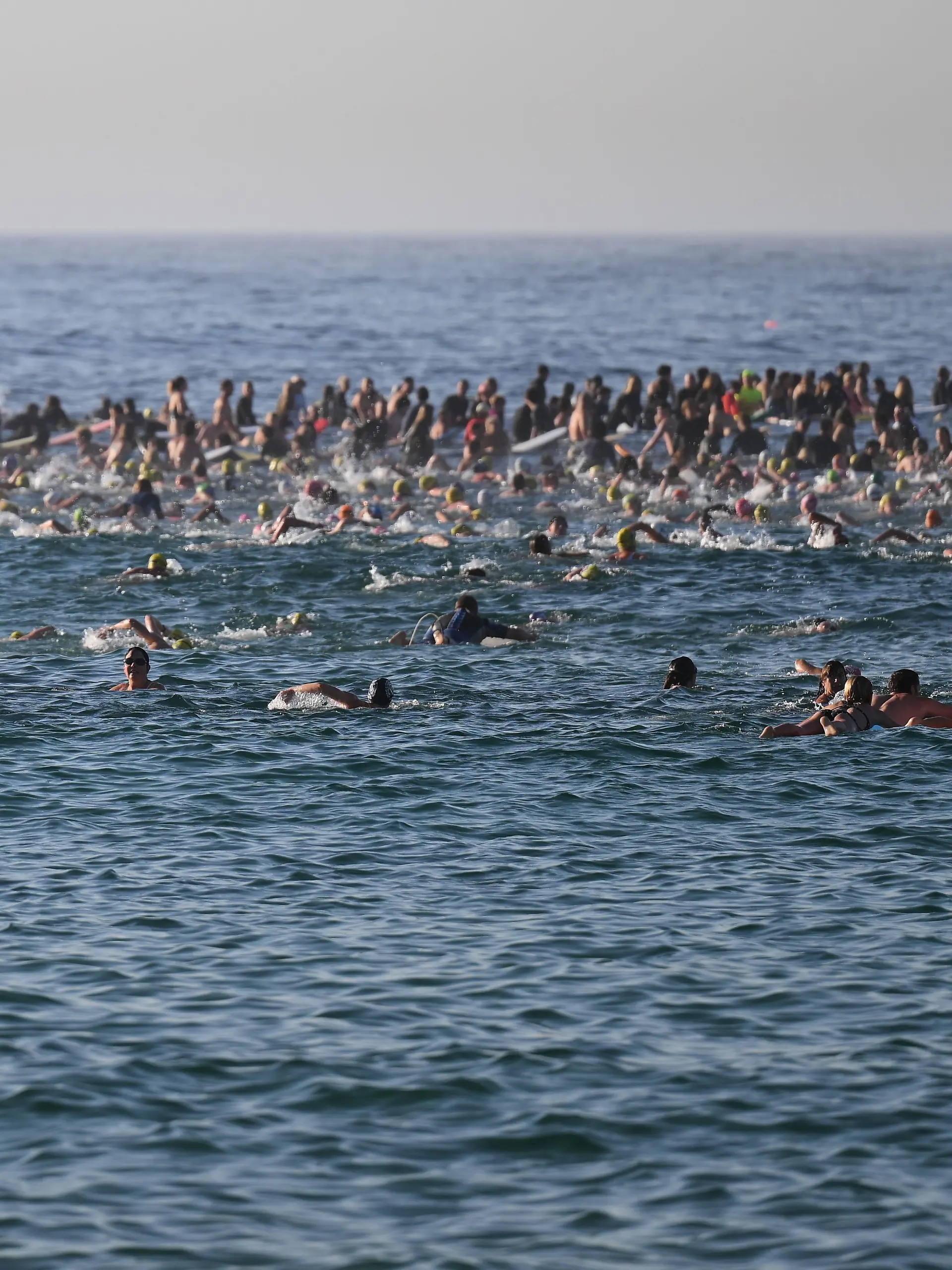 Bild zu: "Surfer gedenken der Opfer des Bondi-Beach-Massakers "