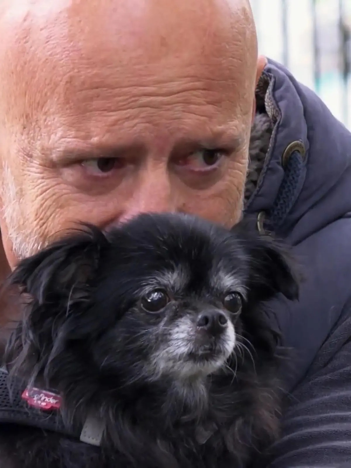 Bild zu: "Diese Begegnung geht Deffi ans Herz"