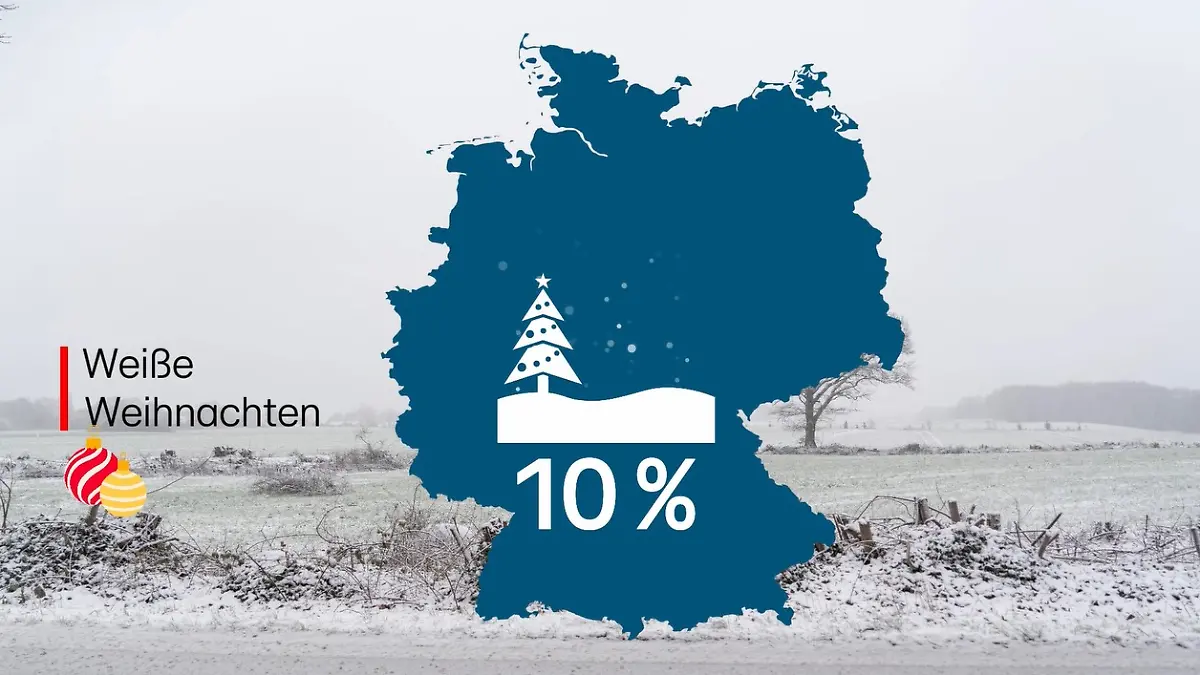 Screenshot 2025-12-19 111945.jpg