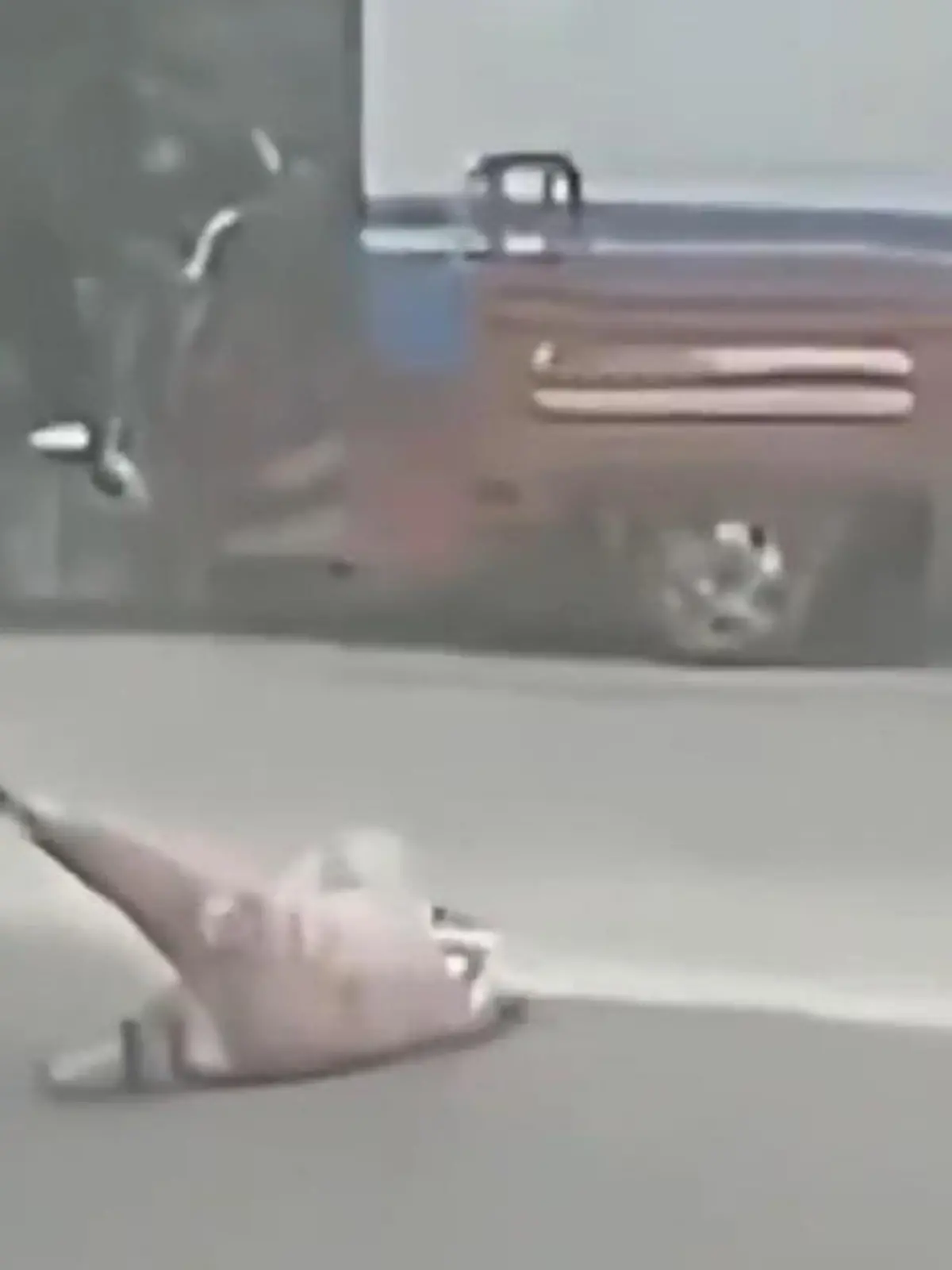 Bild zu: "Eltern bemerken nichts! Kind fällt aus Fahrzeug – Busfahrer wird zum Helden"