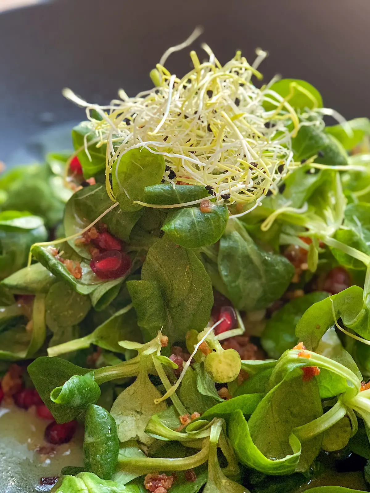 Bild zu: "Kaum Kalorien, jede Menge Nährstoffe! Was Feldsalat zum Star jedes Weihnachts-Menüs macht"