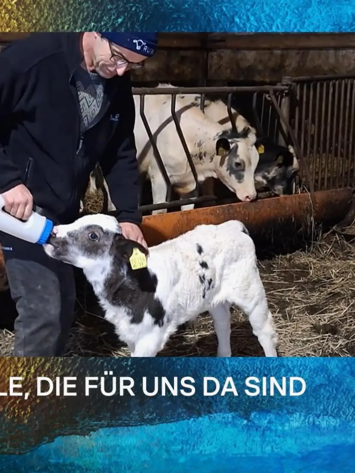 Bild zu: "Weihnachten"