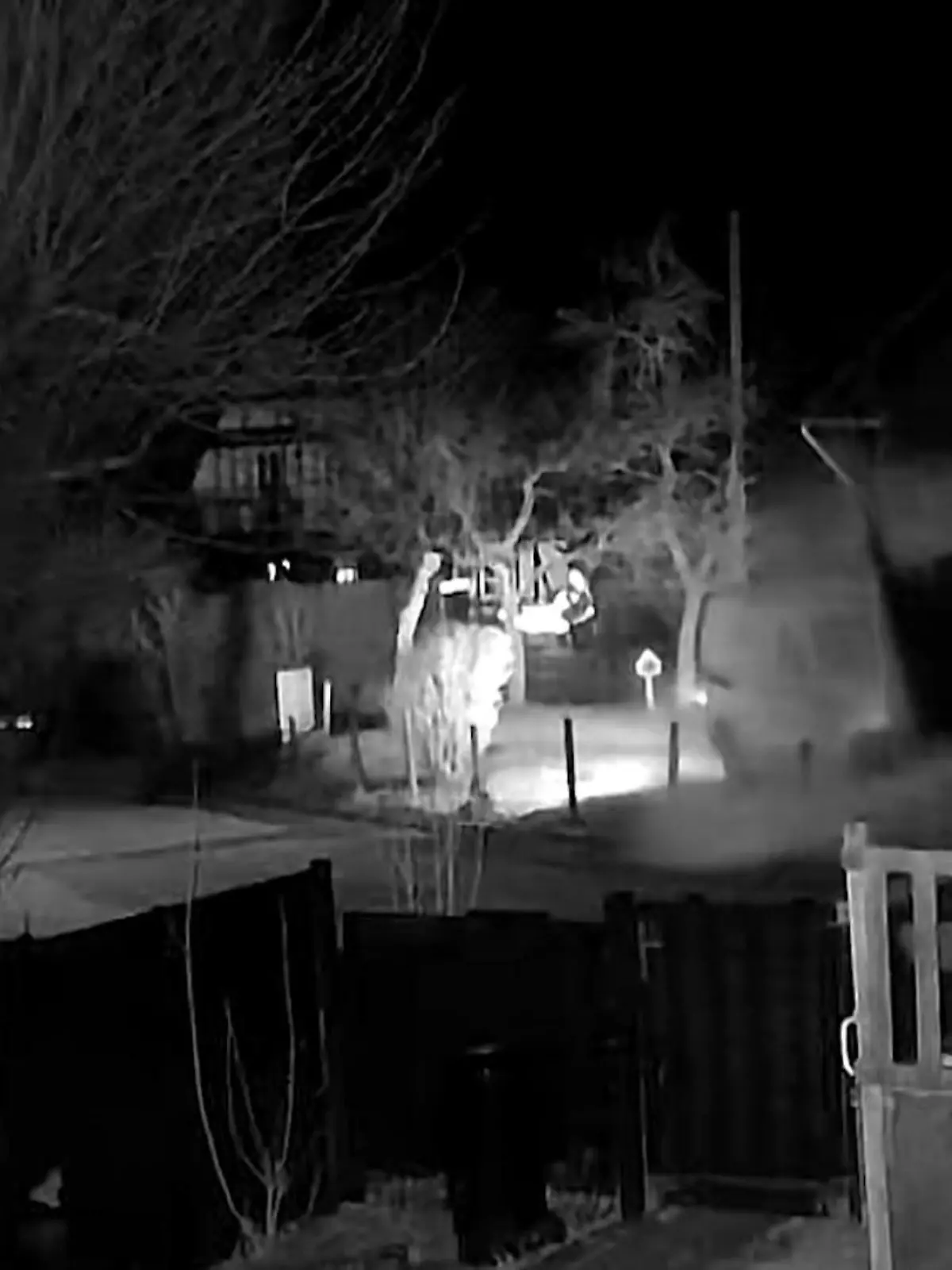 Bild zu: "Mega-Crash! Betrunkener Fahrer reißt mit Transporter ganze Hauswand ein"