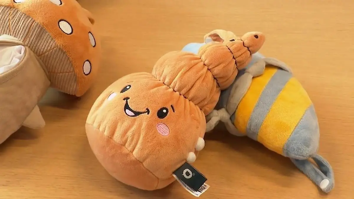 Bonner Start-up Lenabo will in Kinderzimmer Smarte Kuscheltiere