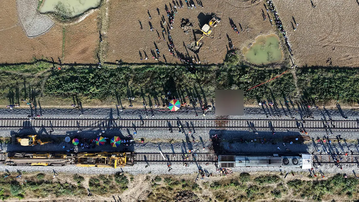 Elefanten sterben in Indien bei Kollision mit Zug