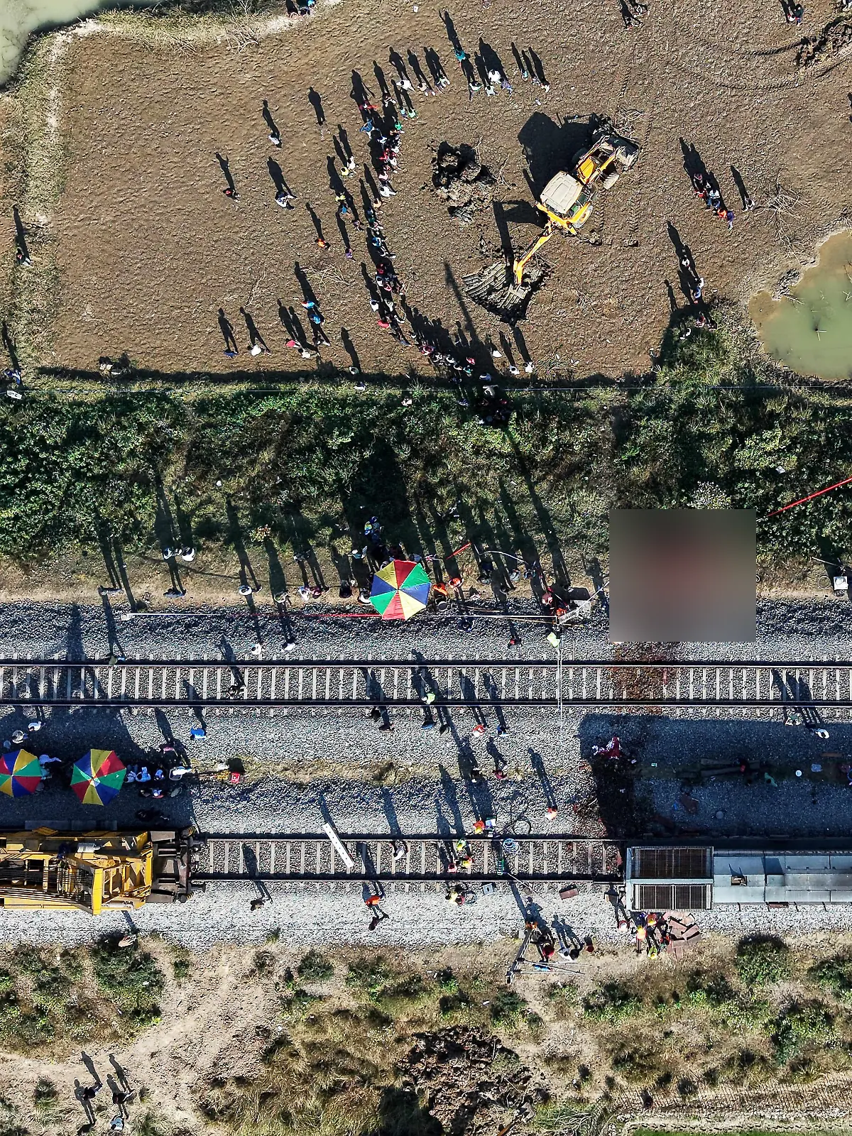 Elefanten sterben in Indien bei Kollision mit Zug