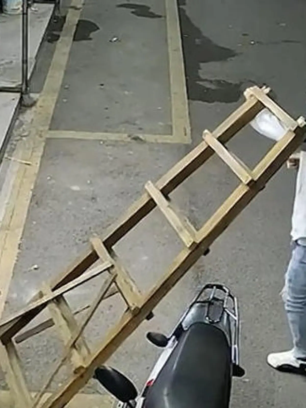 Bild zu: "Katzen-Kick! Mieze überrascht Rollerfahrer - mit fallender Leiter"