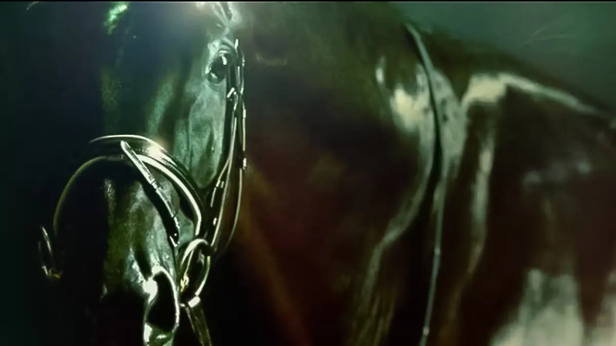 Totilas - Das Millionengeschäft mit dem Jahrhindertpferd