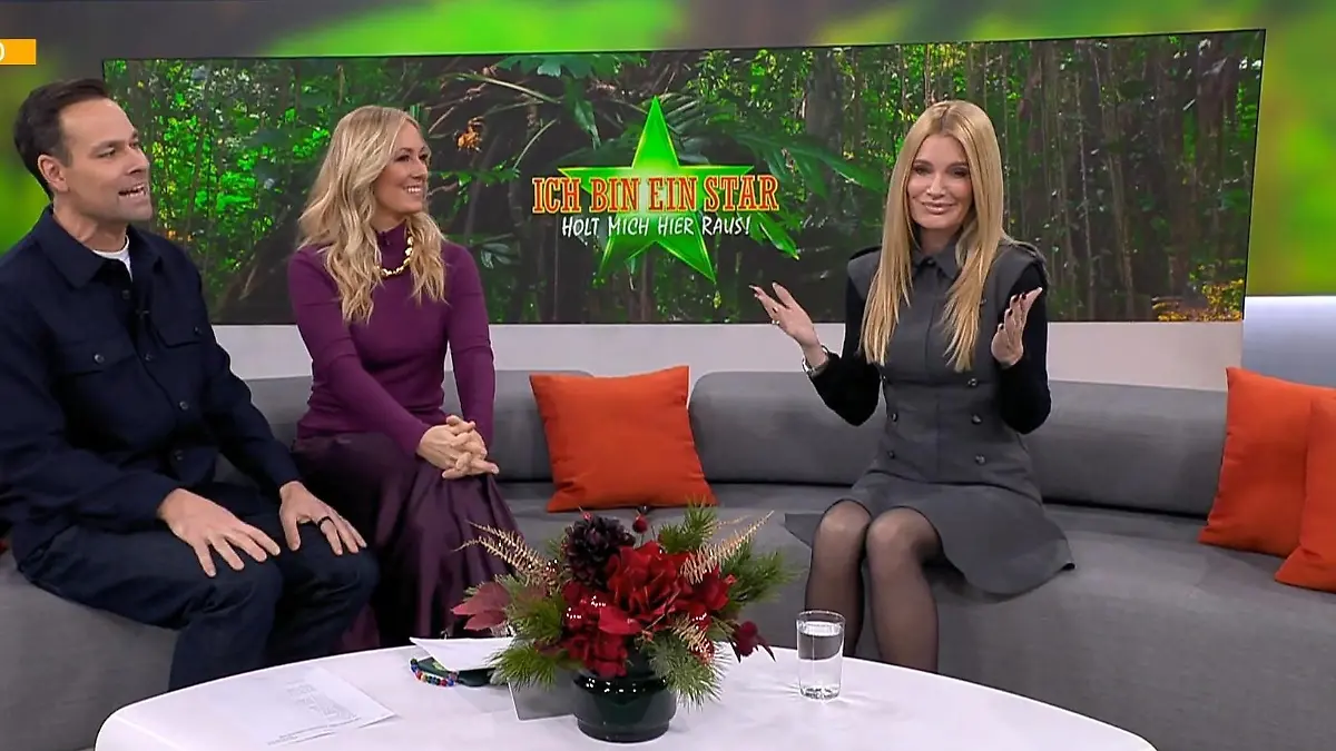 Promi-Freundinnen haben Mirja du Mont das Dschungelcamp „eingebrockt” Mehrere Anfrage abgelehnt