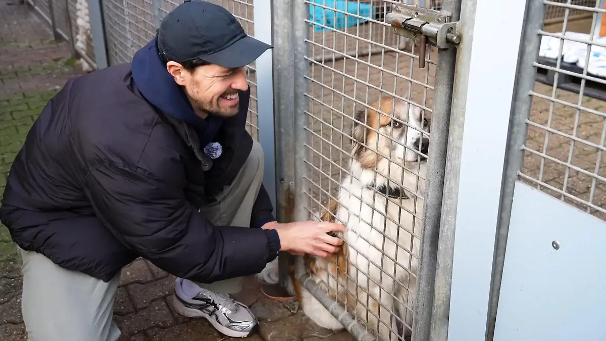Daniel Noah: Tiere sind keine Geschenke! AWZ-Star setzt Zeichen für den Tierschutz