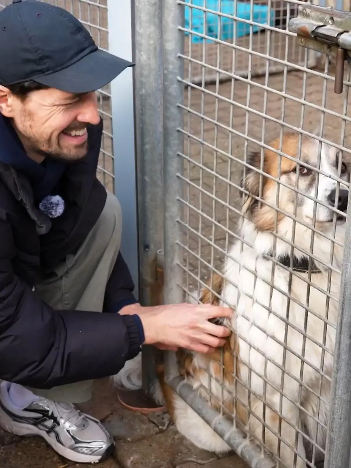 Bild zu: "Daniel Noah: Tiere sind keine Geschenke!"