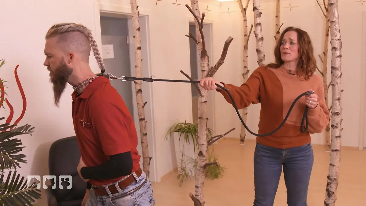 Stromschläge und Würgehalsbänder Verbotene Hundehalsbänder