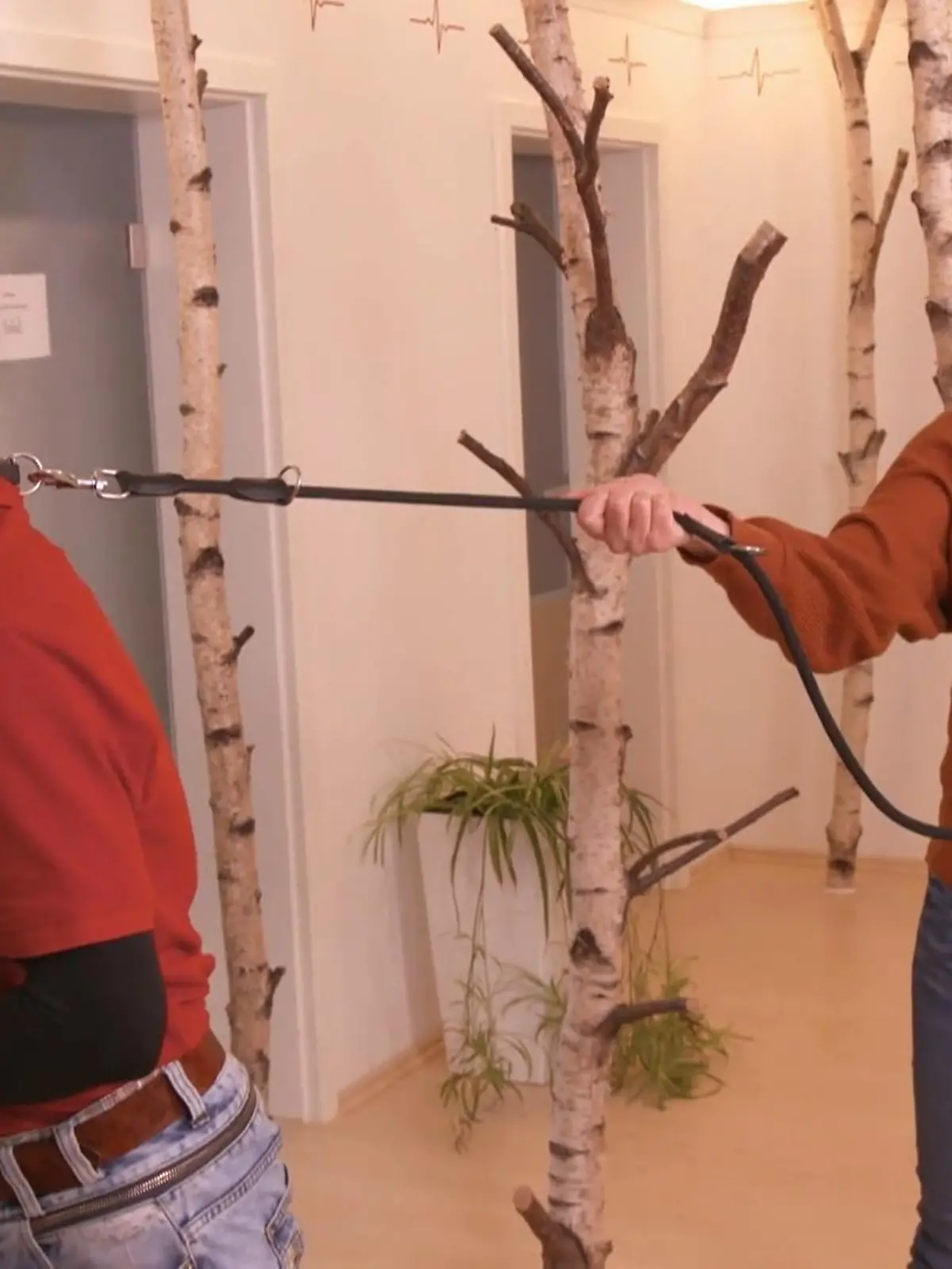 Bild zu: "Stromschläge und Würgehalsbänder"