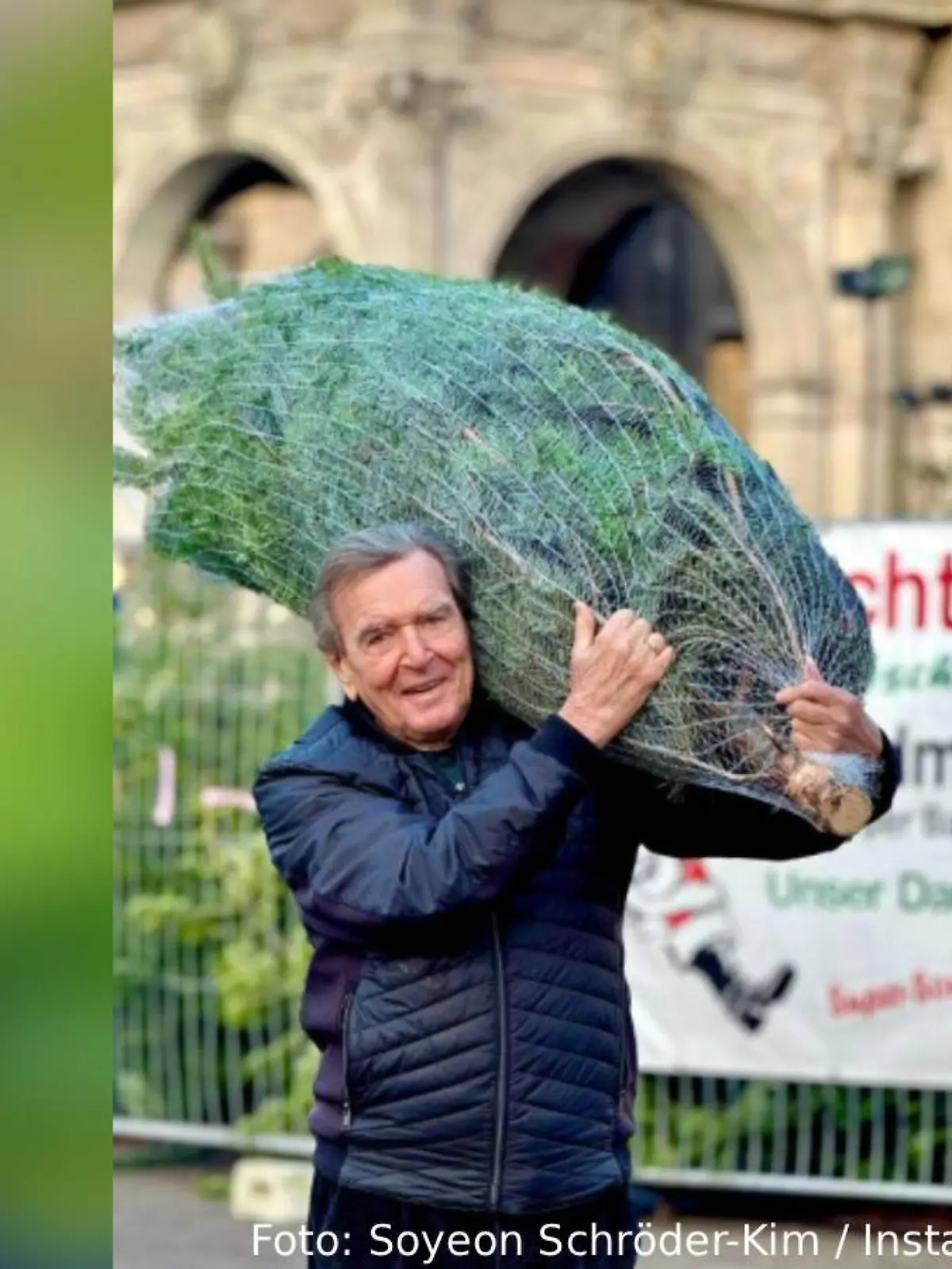 Bild zu: "Schröder schultert Weihnachtsbaum"