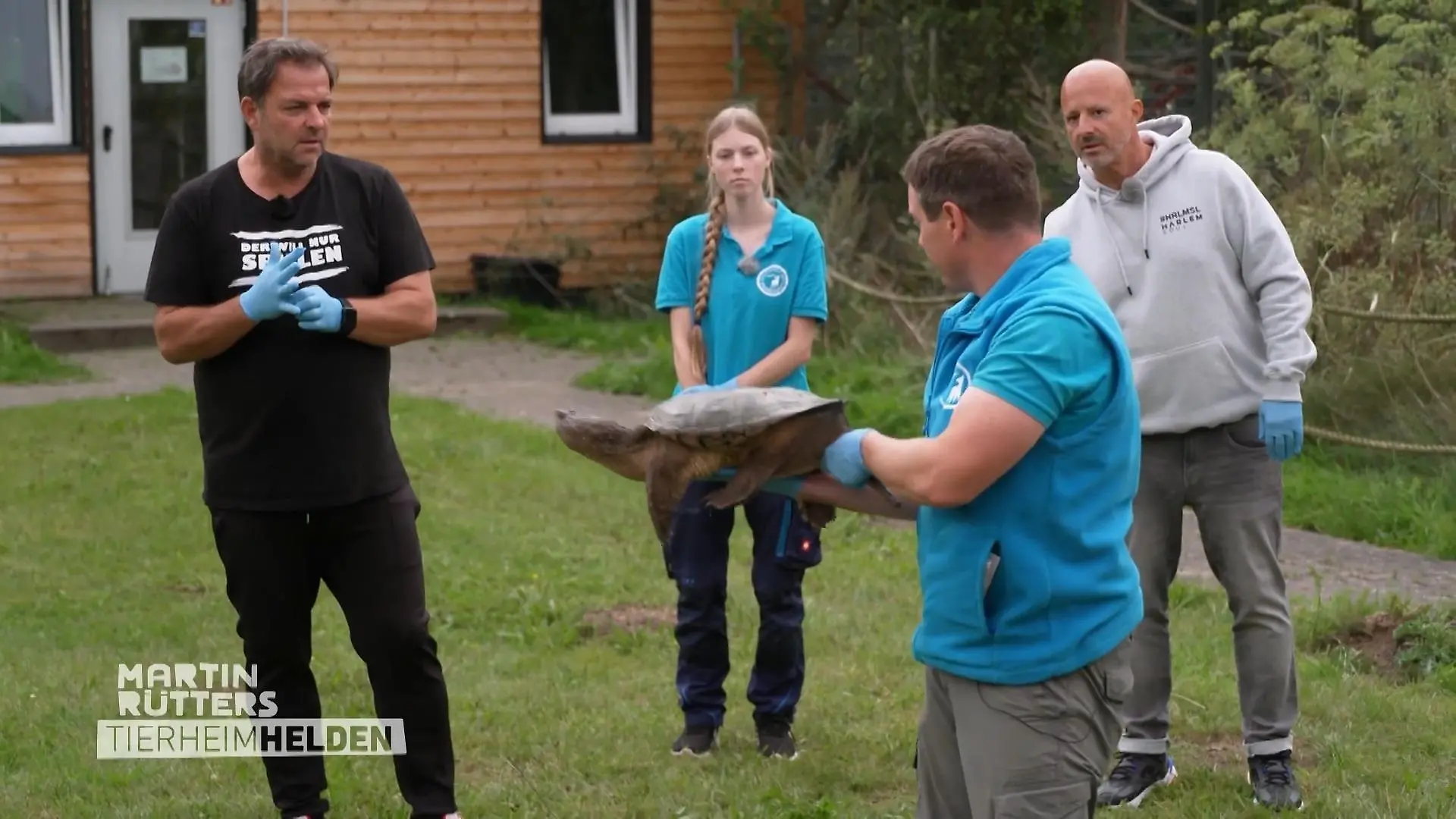 Bild zu: "Martin und Deffi helfen beim Umquartieren einer Schnappschildkröte"