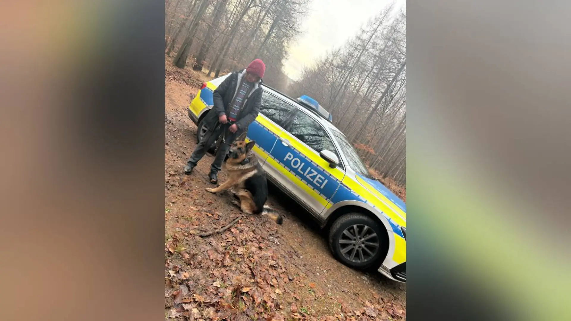 Der Hund kurz nach seiner Rettung aus dem Wald