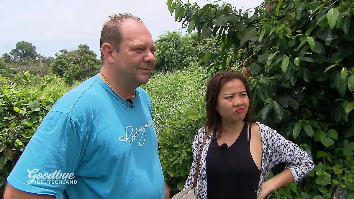 Kaufen oder warten? Sicherheitsbedürfnis