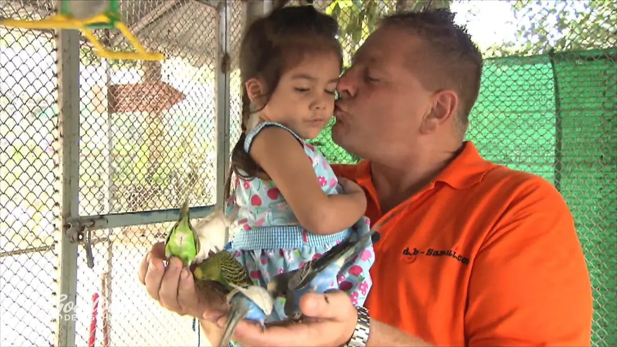 Aufgeben ist keine Option Ein Lichtblick