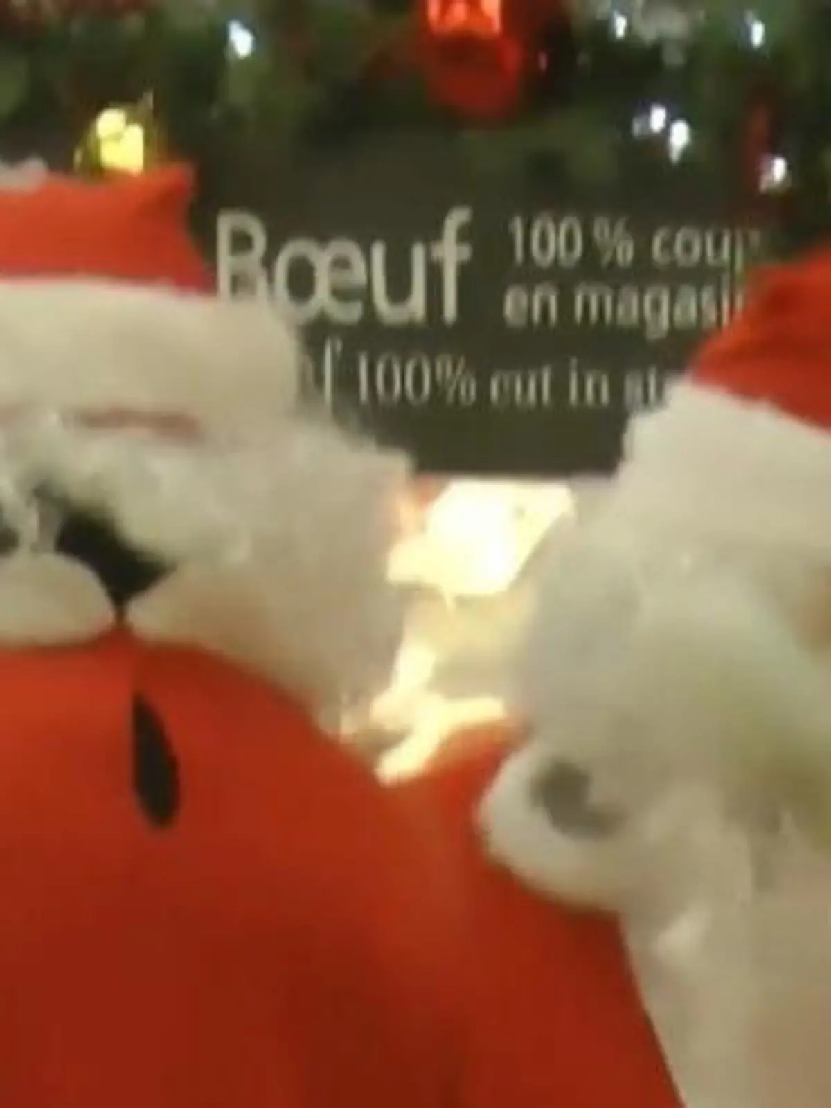 Oh du Gütige! Weihnachtsmänner und Elfen rauben Supermarkt aus – für den guten Zweck