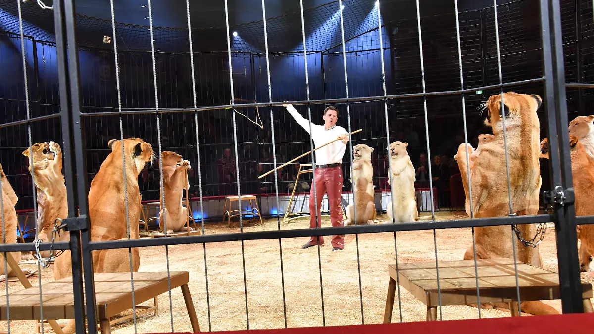 Alexis Lacey / Show / Premiere / Winterspielzeit 2025 / Circus Krone / Ich. Du, Wir. Krone / Manege / Kronebau / München