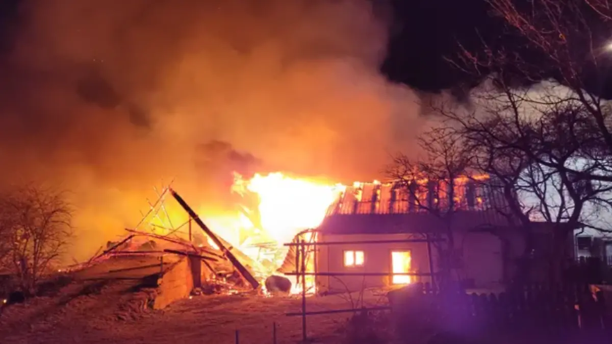 Es entstand an mehreren Gebäuden ein geschätzter Schaden im unteren siebenstelligen Bereich. Menschen wurden nicht verletzt, in den Flammen starben jedoch mehr als zwei Dutzend Tiere.