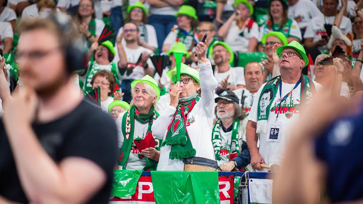Stirbt-der-Handball-Fan-aus-