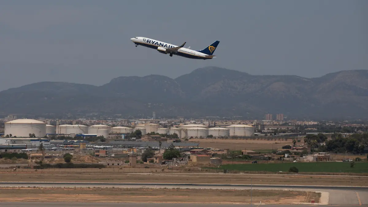 Mallorca-Hund-st-rt-Flugbetrieb-Welpe-sorgt-f-r-Chaos-am-Flughafen
