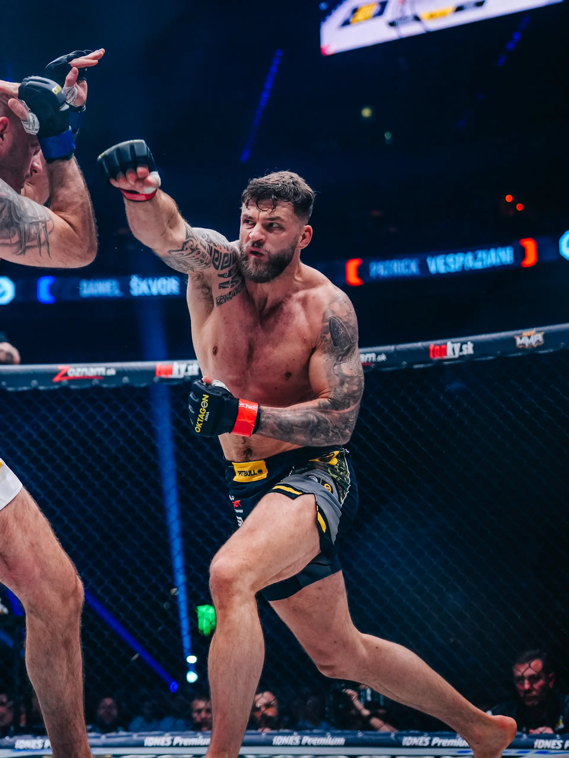 Bild zu: "Deutscher MMA-Star gewinnt trotz Pleite die Fan-Herzen!"