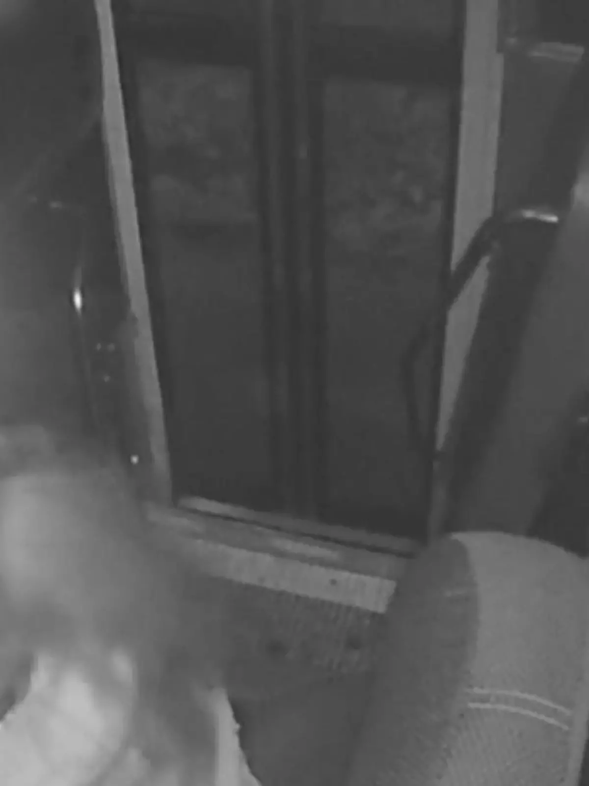 Kleine Helden! Geschwister retten ihrer Busfahrerin das Leben