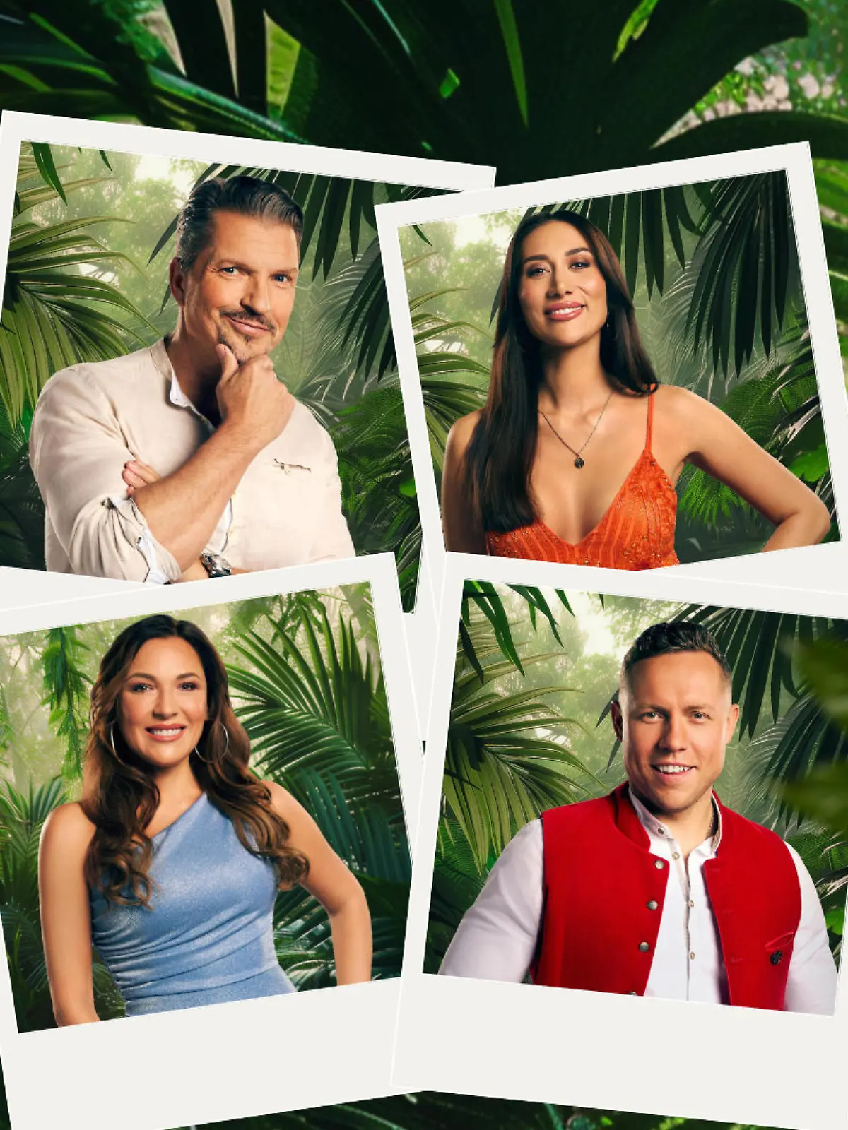 Bild zu: "Alle Stars enthüllt! SIE sind die Dschungelcamper"