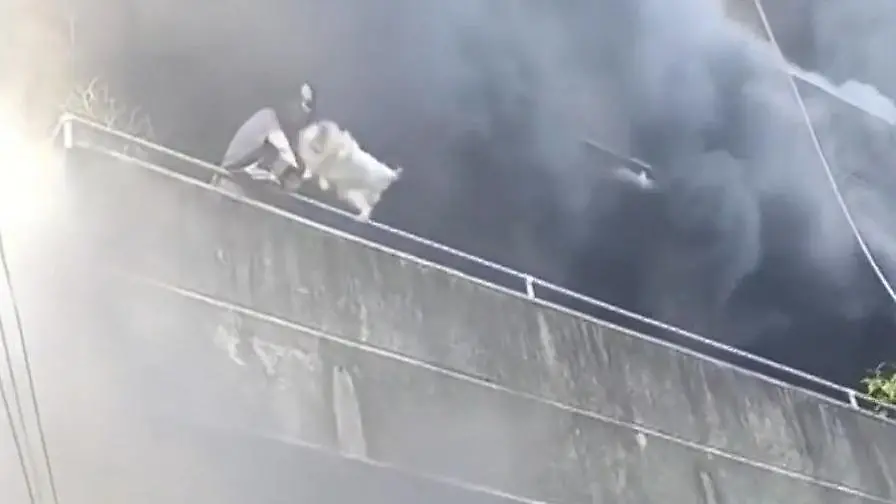 Philippinen-Frau-wirft-Hunde-aus-brennendem-Hochhaus-um-sie-zu-retten-