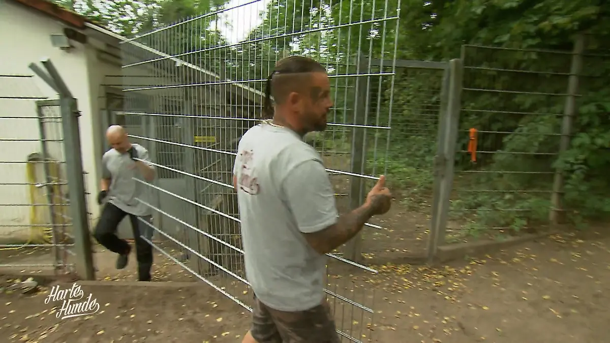 Einbruchsicherung für das Tierheim Witten Jetzt wird aufgerüstet