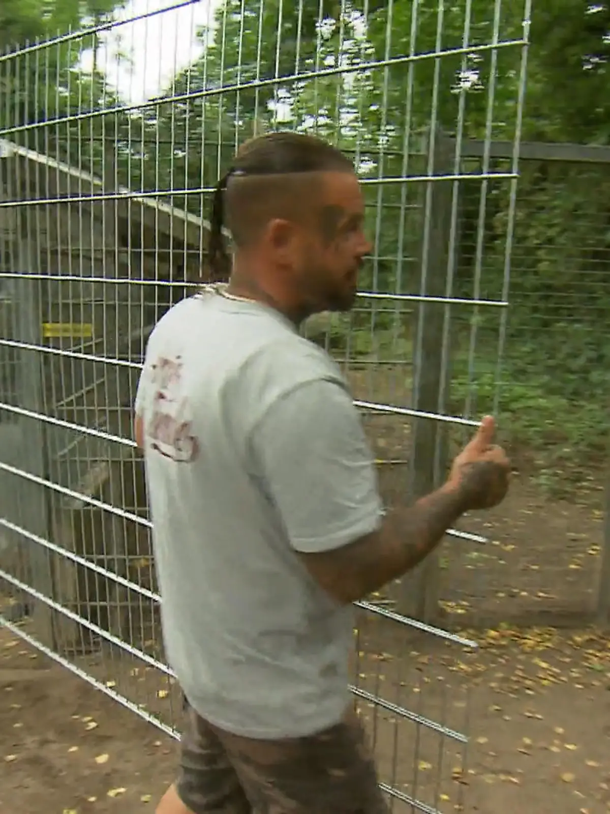 Bild zu: "Einbruchsicherung für das Tierheim Witten"