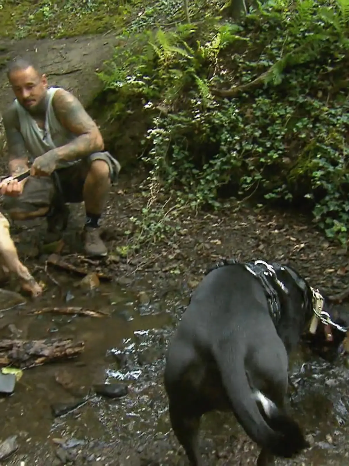 Bild zu: "Arbeiten, helfen, sozialisieren"