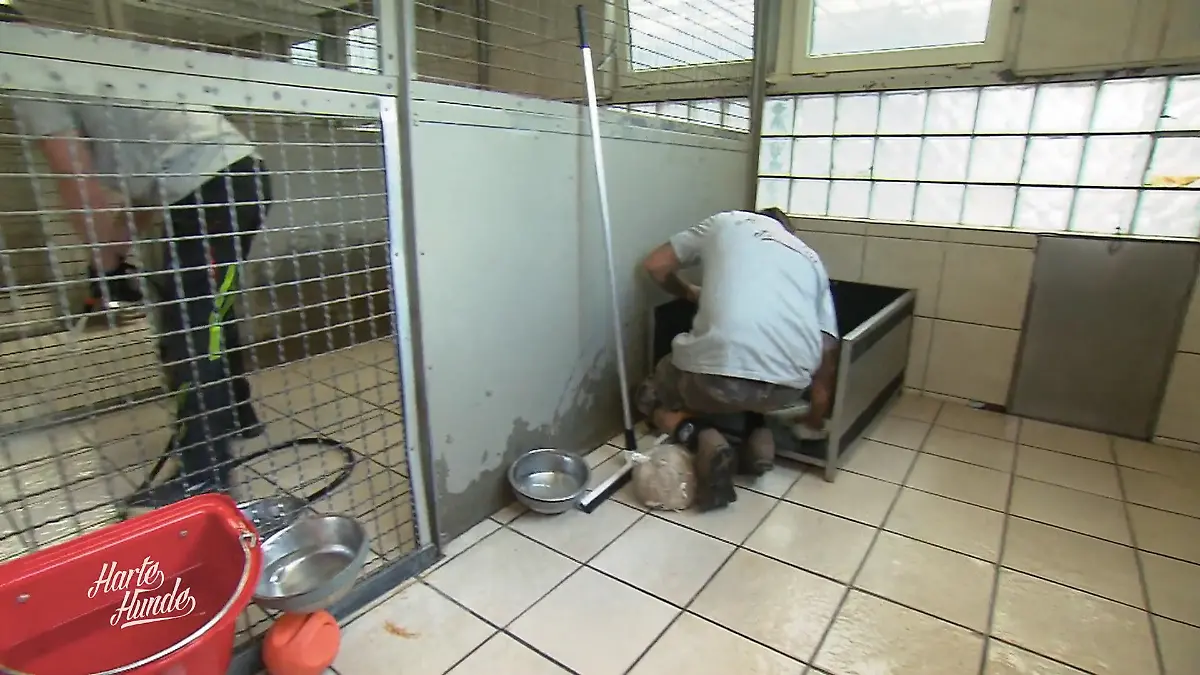 Saubermachen gehört dazu Arbeit die keiner sieht