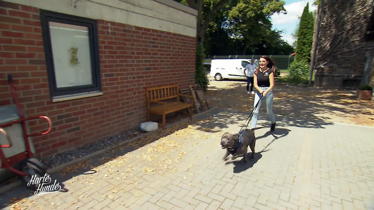 Gestohlen, verschwunden – und plötzlich zurück Sensationsfund nach Einbruch