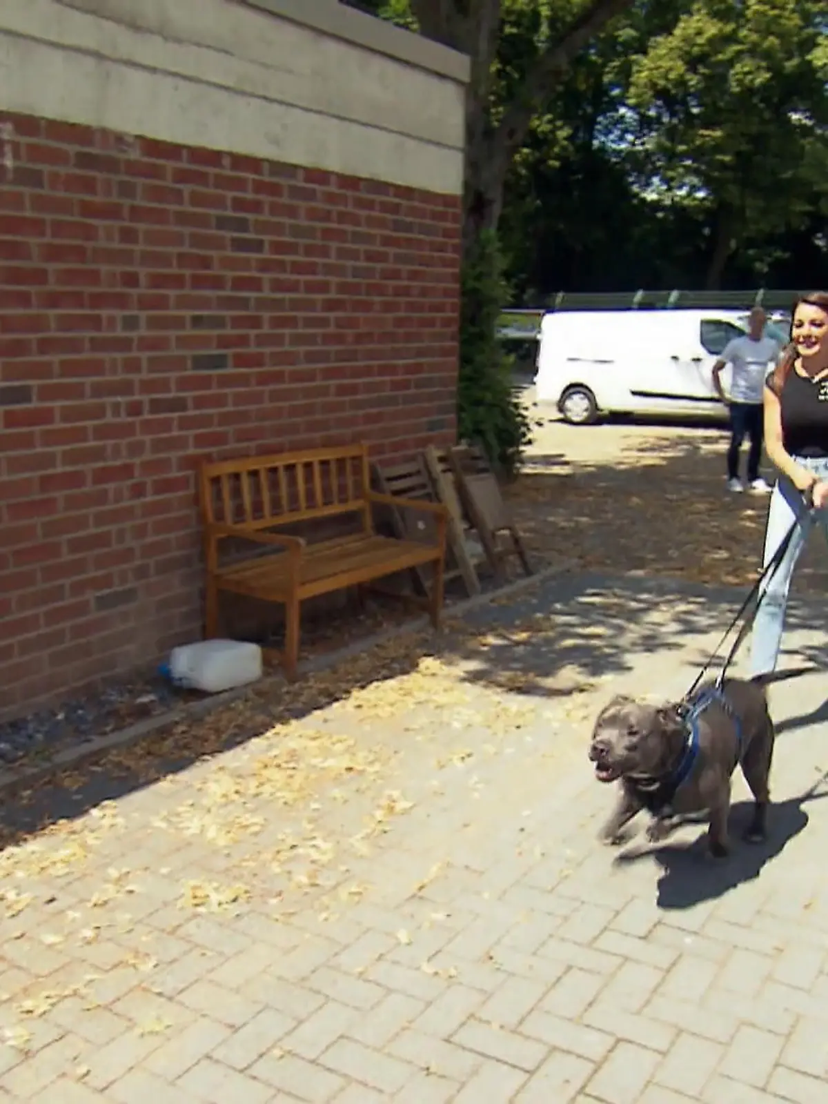 Bild zu: "Gestohlen, verschwunden – und plötzlich zurück"