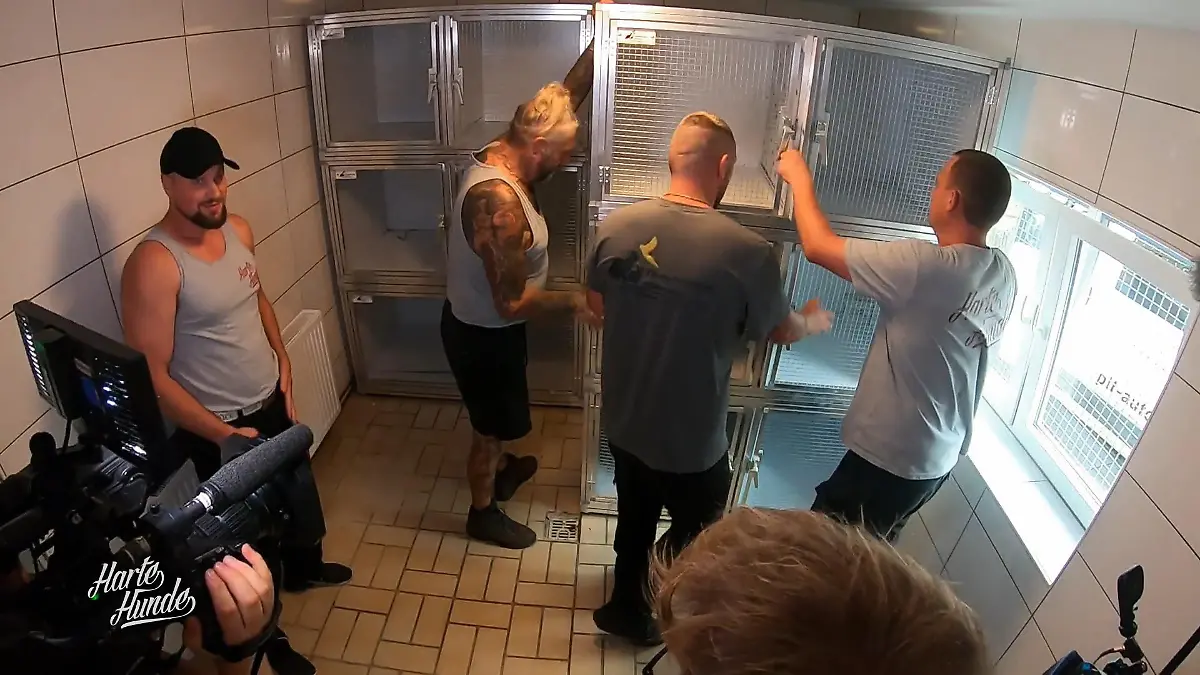 Neue Ausstattung für das Tierheim Witten Ein Upgrade, das wirkt